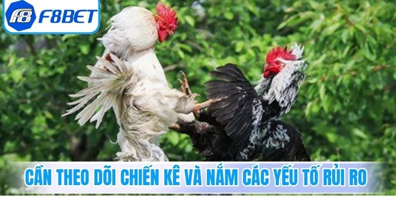 Cần theo dõi chiến kê và nắm các yếu tố rủi ro