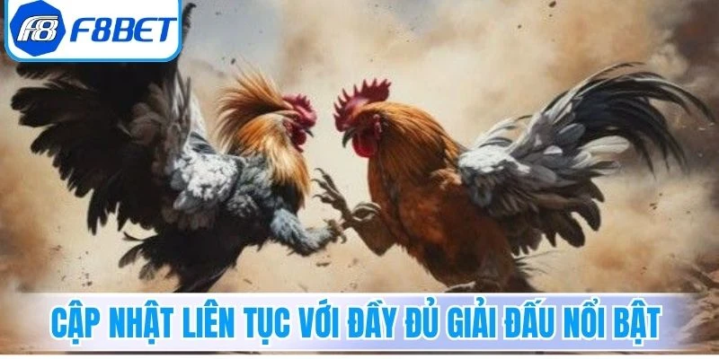 Cập nhật liên tục với đầy đủ giải đấu nổi bật