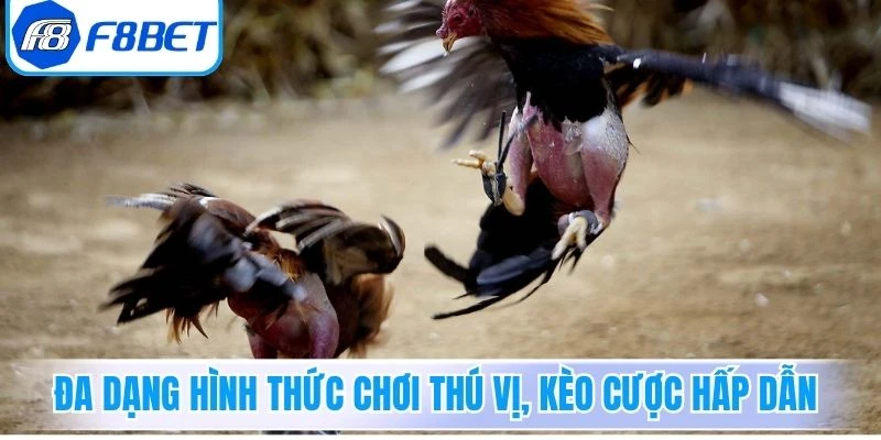 Đa dạng hình thức chơi thú vị, kèo cược hấp dẫn