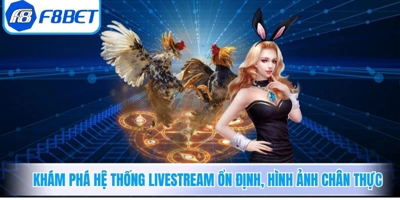 Khám phá hệ thống livestream ổn định, hình ảnh chân thực