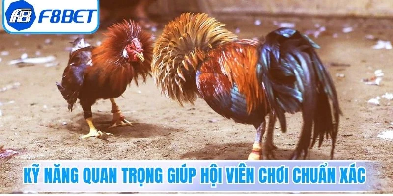 Kỹ năng quan trọng giúp hội viên chơi chuẩn xác