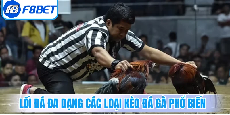 Lối đá đa dạng các loại kèo đá gà phổ biến 