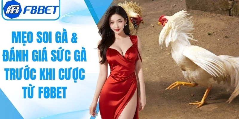 Mẹo Soi Gà & Đánh Giá Sức Gà Trước Khi Cược