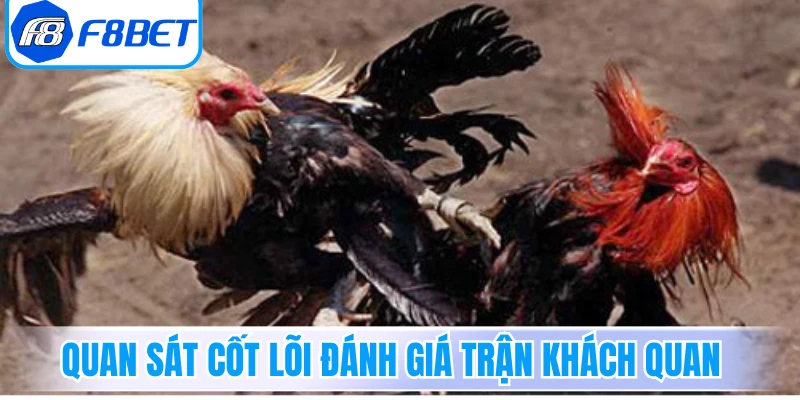 Quan sát cốt lõi đánh giá trận khách quan 
