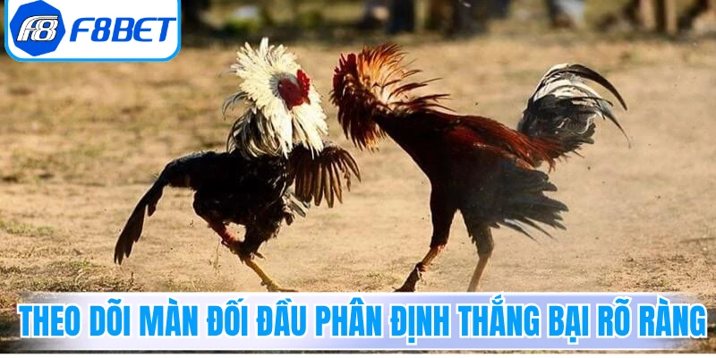 Theo dõi màn đối đầu phân định thắng bại rõ ràng 